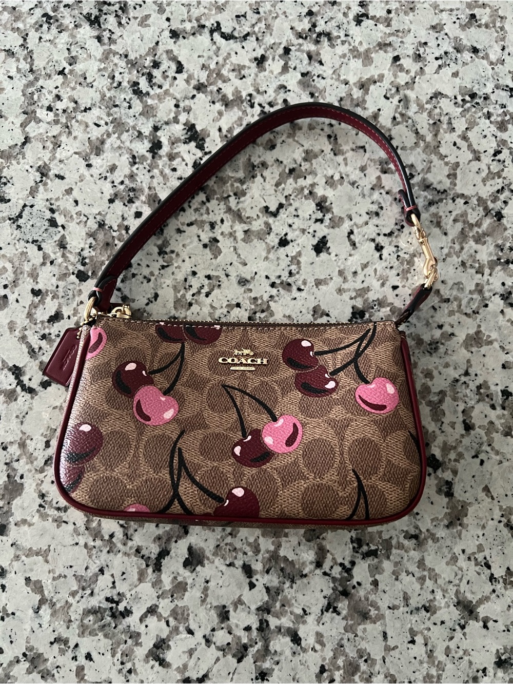 COACH Nolita 19 In Signature Canvas With Cherry Print Pre Owned